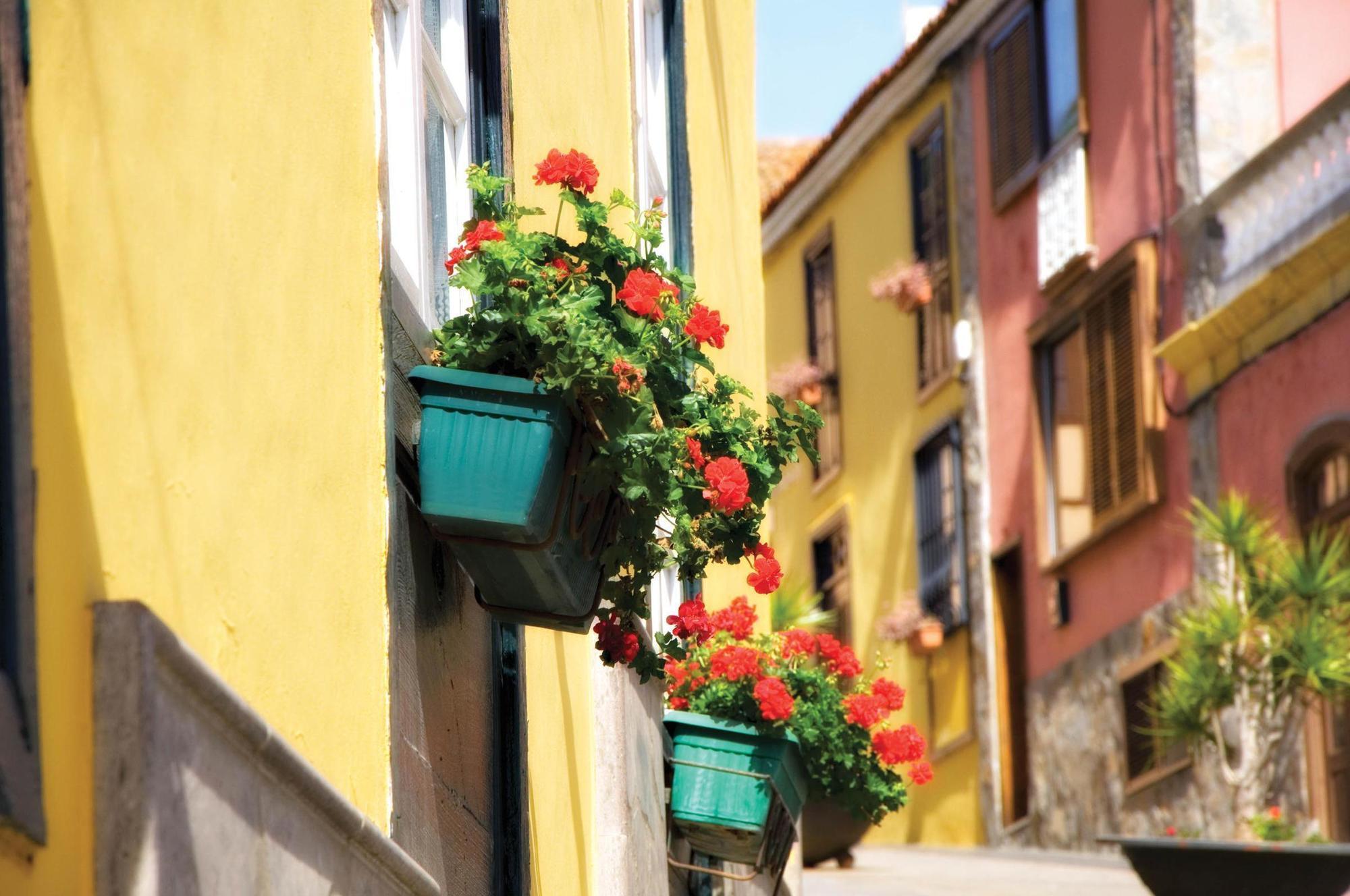 Hotel Rural Senderos De Abona 3*